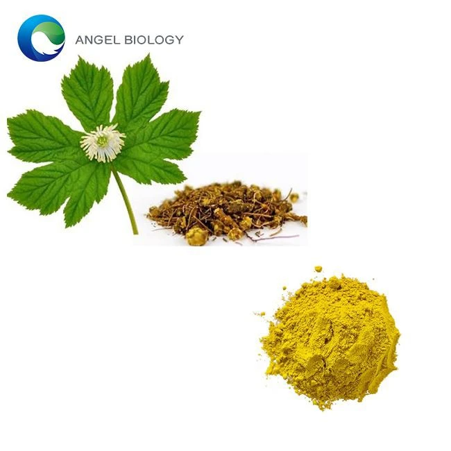 How Does Goldenseal Root Extract Powder Support Liver Health?